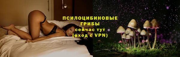 спиды Зеленодольск