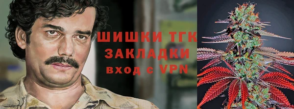 спиды Зеленодольск