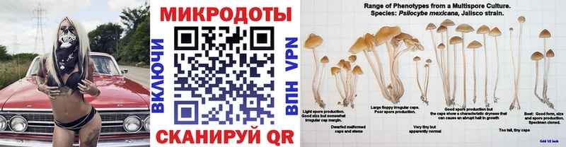 Псилоцибиновые грибы ЛСД  цена наркотик  Шилка 
